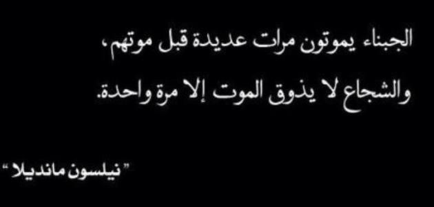حكم ونصائح قصيرة حكم ونصائح قصيرة
