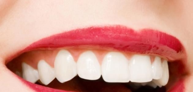 كيف تحافظ على أسنانك كيف تحافظ على أسنانك