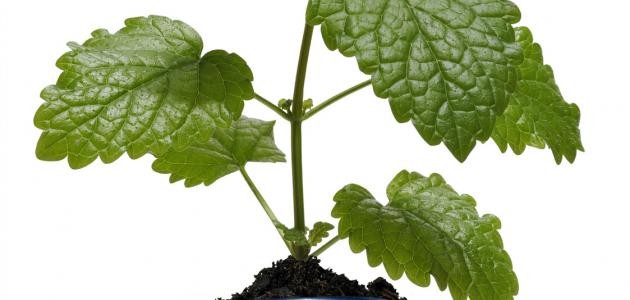 أحدث اختراعات العالم أحدث اختراعات العالم