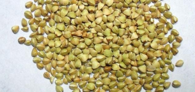 ما هي الحنطة السوداء ما هي الحنطة السوداء