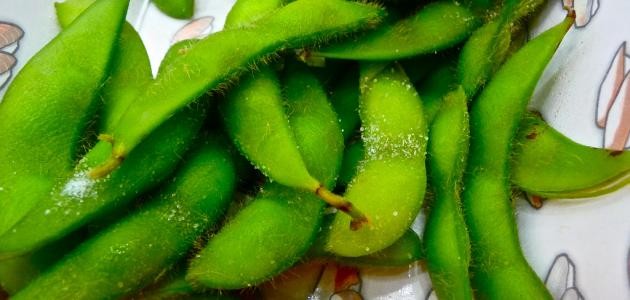 كيفية تفريز الفول الاخضر كيفية تفريز الفول الاخضر