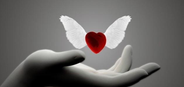 أحبك ولكن أخاف أحبك ولكن أخاف