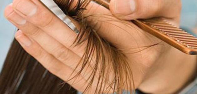 ما علاج تقصف الشعر ما علاج تقصف الشعر