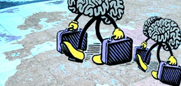 تحضير درس هجرة الادمغة تحضير درس هجرة الادمغة