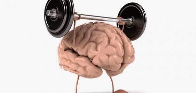 تدريبات لتقوية الذاكرة تدريبات لتقوية الذاكرة