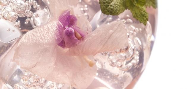 فوائد شرب ماء الزهر فوائد شرب ماء الزهر