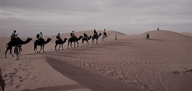 ابو عبد شمس