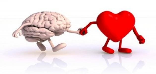 كيفية اكتساب الذكاء العاطفي كيفية اكتساب الذكاء العاطفي