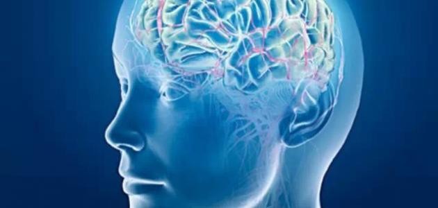 هل هناك علاقة بين التفكير الإبداعي والذكاء هل هناك علاقة بين التفكير الإبداعي والذكاء