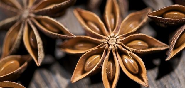 ما هو الينسون ما هو الينسون