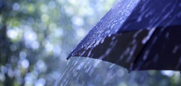 كيف يهطل المطر