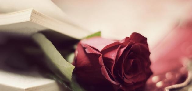 عبارات قوية عبارات قوية