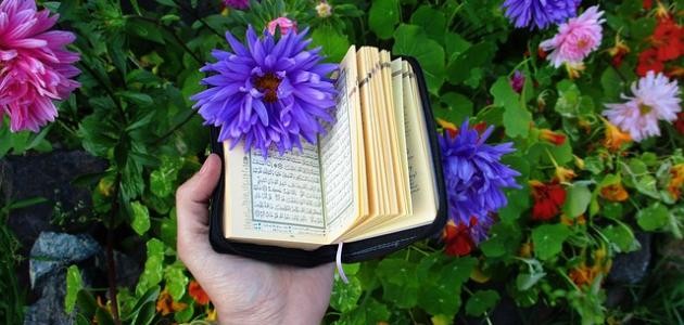 الباقيات الصالحات خير عند ربك الباقيات الصالحات خير عند ربك