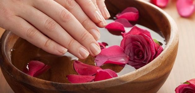 فوائد ماء الورد للشعر فوائد ماء الورد للشعر