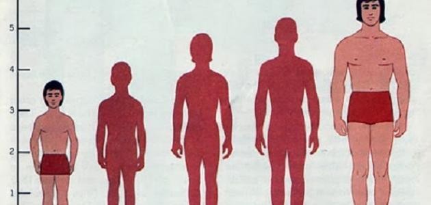 ما أسباب قصر القامة ما أسباب قصر القامة