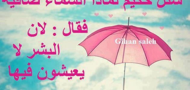 كلمات لها معنى جميل كلمات لها معنى جميل