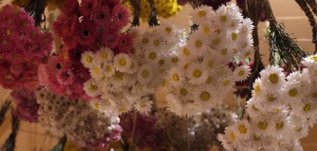 كيفية حفظ الورد الطبيعي