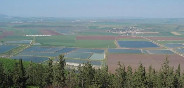 أين تقع عين جالوت أين تقع عين جالوت