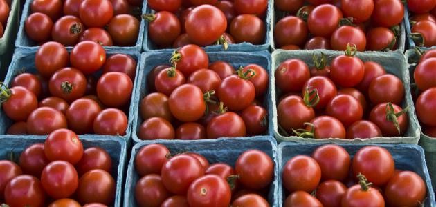 كيفية حفظ الطماطم لمدة طويلة كيفية حفظ الطماطم لمدة طويلة