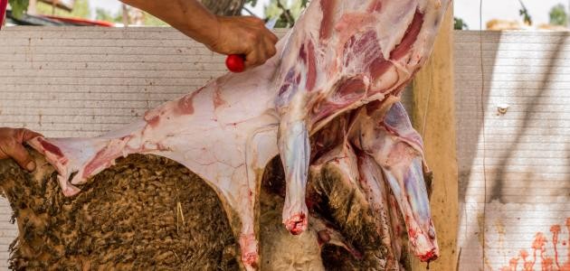 كيفية سلخ الخروف