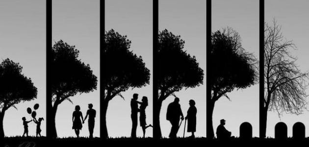 عبارات حلوة عن الحياة عبارات حلوة عن الحياة