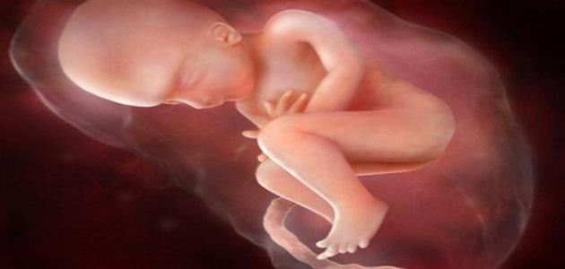 ما هي أسباب زيادة الماء حول الجنين ما هي أسباب زيادة الماء حول الجنين