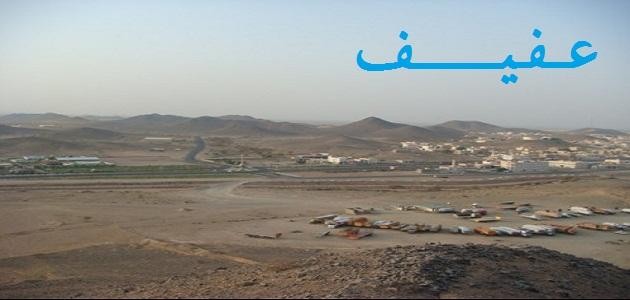 أين تقع عفيف