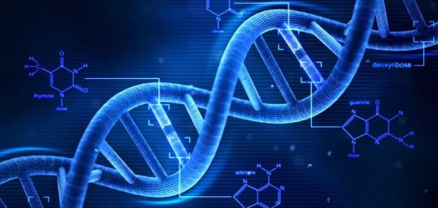 كيف يتم تحليل DNA كيف يتم تحليل DNA
