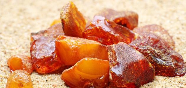 من أين يستخرج المسك والعنبر من أين يستخرج المسك والعنبر