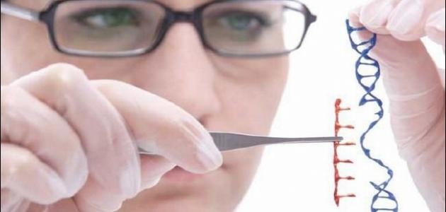 كيفية انتقال الأمراض الوراثية كيفية انتقال الأمراض الوراثية