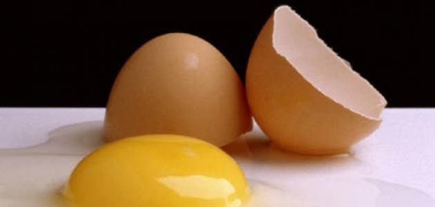 فوائد البيض للشعر مع الحناء فوائد البيض للشعر مع الحناء