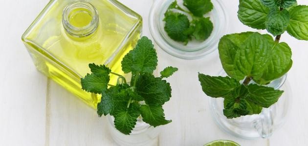 فوائد زيت النعناع للبشرة فوائد زيت النعناع للبشرة
