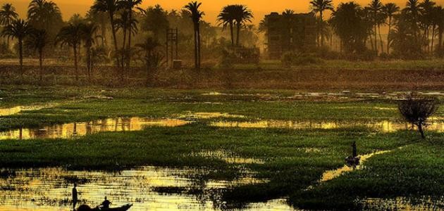 ماذا يحد مصر من الجنوب ماذا يحد مصر من الجنوب