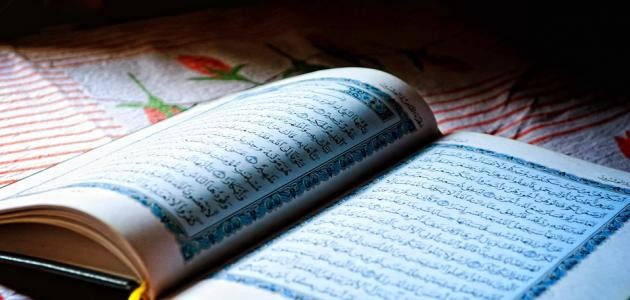 تفسير اية وما ملكت ايمانكم تفسير اية وما ملكت ايمانكم
