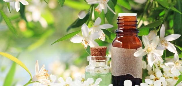 فوائد ماء الزهر للتنحيف فوائد ماء الزهر للتنحيف