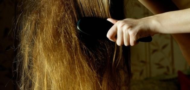 ما الحل للشعر الجاف ما الحل للشعر الجاف