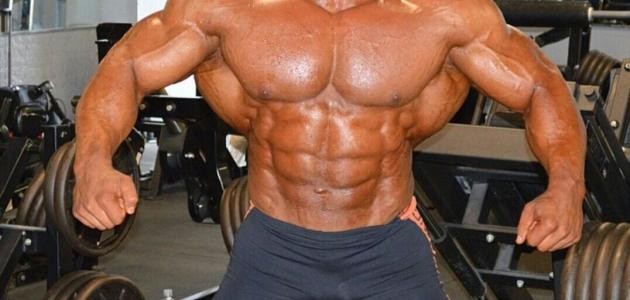 كيف تصبح ضخم البنية كيف تصبح ضخم البنية