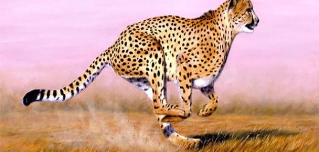 الرأي قبل شجاعة الشجعان الرأي قبل شجاعة الشجعان