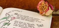 أجمل أشعار الحب