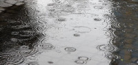 شعر عن المطر شعر عن المطر
