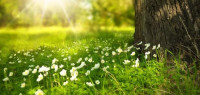 أجمل الحكم و العبر في الحياة أجمل الحكم و العبر في الحياة