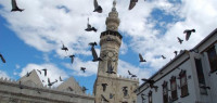 ما هي أذكار يوم الجمعة ما هي أذكار يوم الجمعة