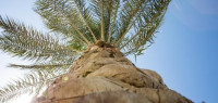 نبوة عيسى و معجزاته نبوة عيسى و معجزاته
