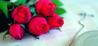 حكم و أمثال سودانية