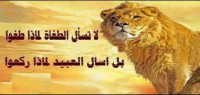 أجمل الحكم والعبارات أجمل الحكم والعبارات