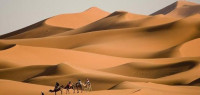 بحث عن أكبر صحراء في العالم بحث عن أكبر صحراء في العالم