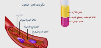 ما هي مكونات الدم ما هي مكونات الدم