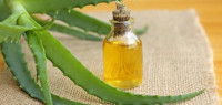 زيت الصبار لتطويل الشعر زيت الصبار لتطويل الشعر