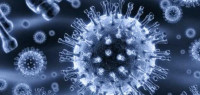 ما هو تحليل HCV AB