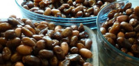 أجود أنواع التمور